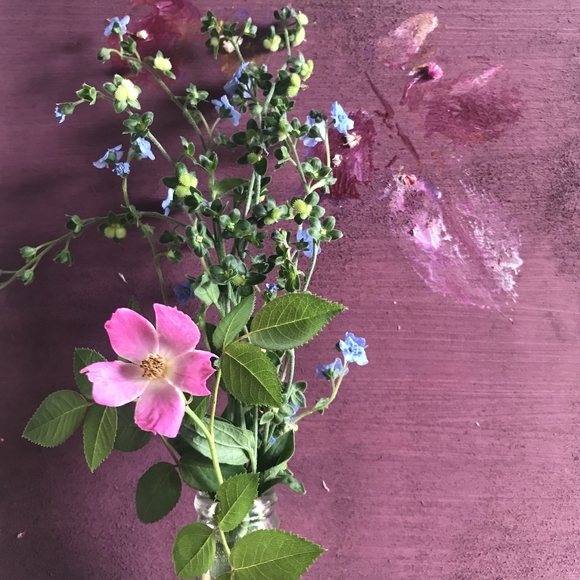 Fresh or Dried Flower Arrangements 🌼 - Picture 3 of 4